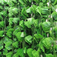 2/100M Silk Leaves Fake Creeper Green Leaf Ivy String for Home Decor Hanging Garland Artificial Plants Wedding Decoration
