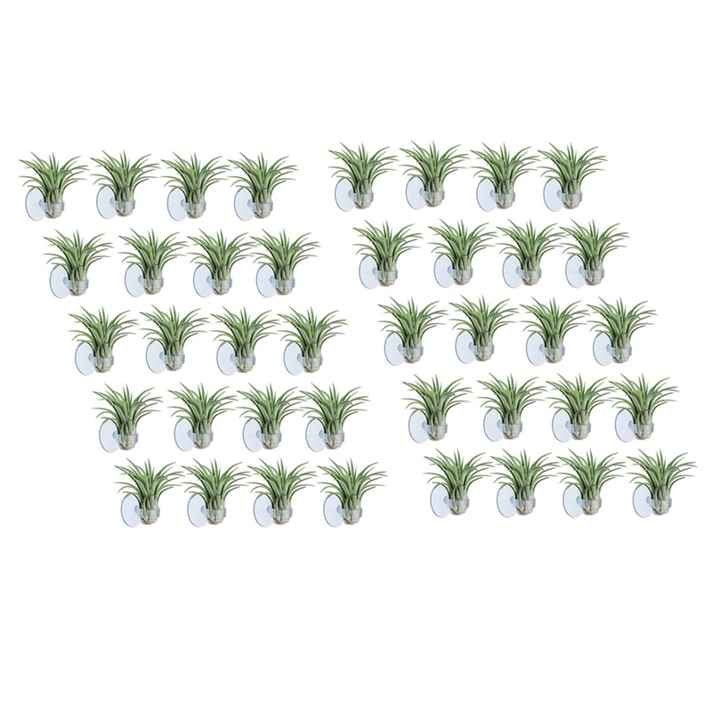 Hot 40 Pcs Air Plant Holder, Plant Pot Tillandsia Holder Air Plant Hanger With Suction Cup For Hanging (Plants Not Included)