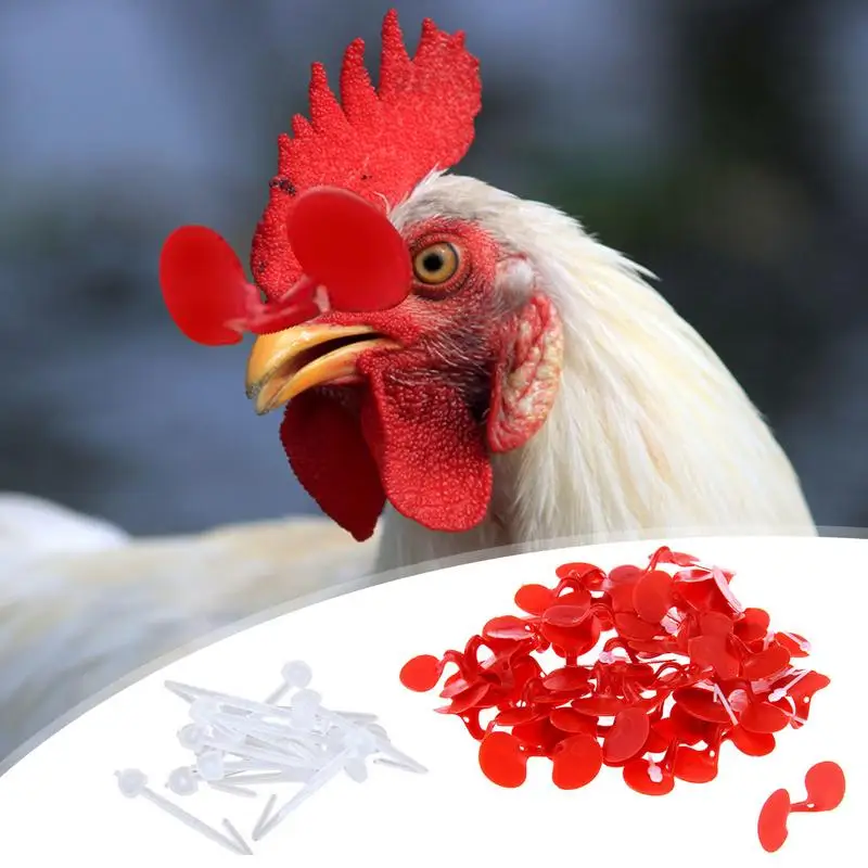 60pcs Chicken Glasses Hen Rooster Anti-Pecking Eyes Glasses with Bolt Durable Chicken Equipment Supplies Poultry