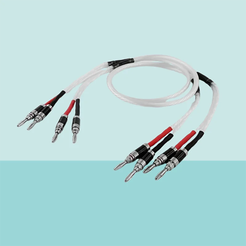 

Premium 5N OFC Silver-Coated Speaker Wires: Hi-End Y-Adapter & Banana Plugs for Audiophile Systems