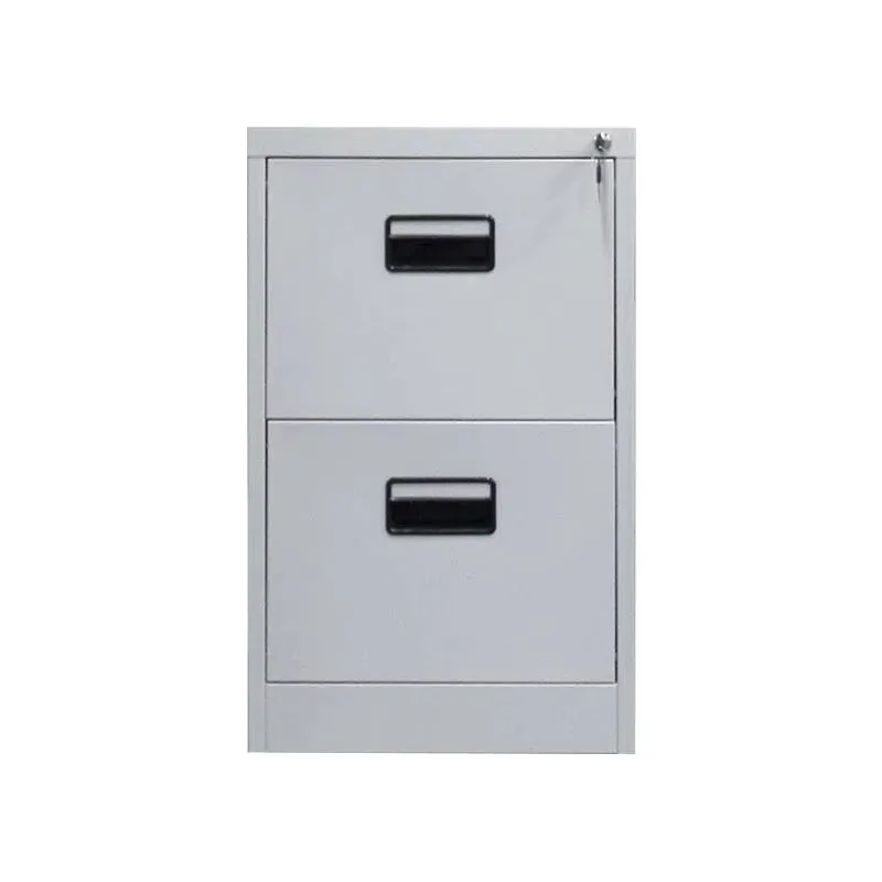Office Furniture Steel 2 Drawer Document Storage Cabinet Folder Metal Vertical File Filing Cabinet