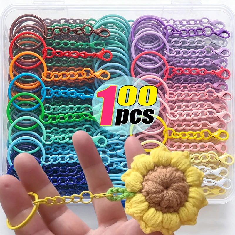 25mm Bunter Metall-Schlüsselanhänger mit Karabinerverschluss und Verlängerungskette DIY Handgemachter Schmuck Schlüsselketten-Verbinder Taschenanhänger Zubehör