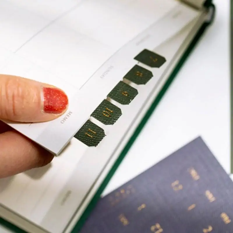 10 Blätterplaner monatliche Registerkarten der Kleberindex Tabs Monglebige Teilnehmer für Planer