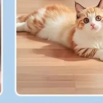 

Лазерное терапевтическое устройство с двойной длиной волны, 650 нм, 808 нм, 17 диодов - эффективное лечение артрита колена и спортивных травм