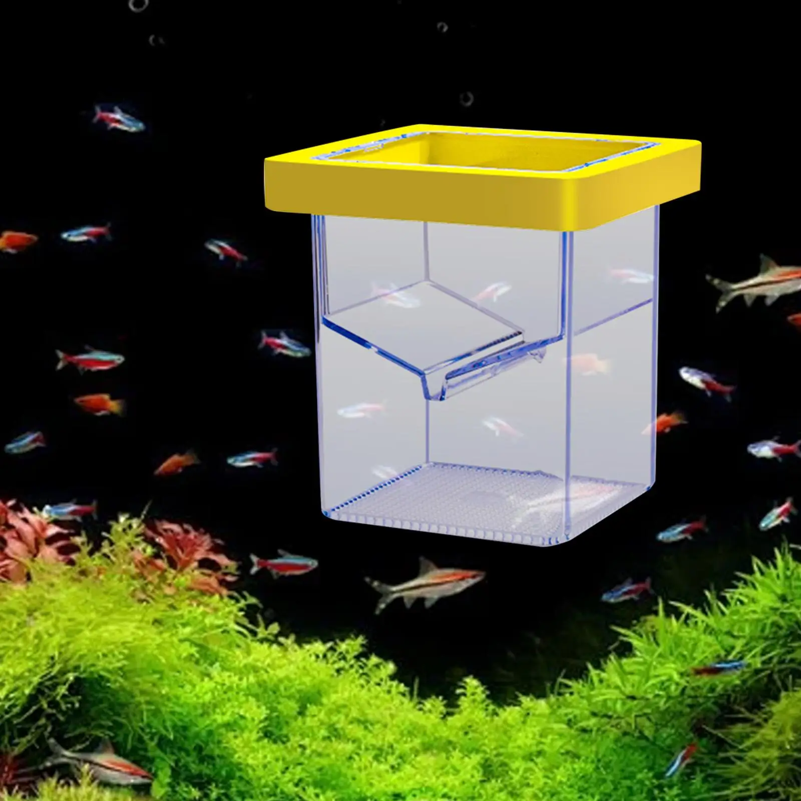 Fish Breeder Box Fish Tank Hatchery Floating Square Acrylic Isolation Box Incubator for Betta Shrimp Baby Fishes , Fish Egg