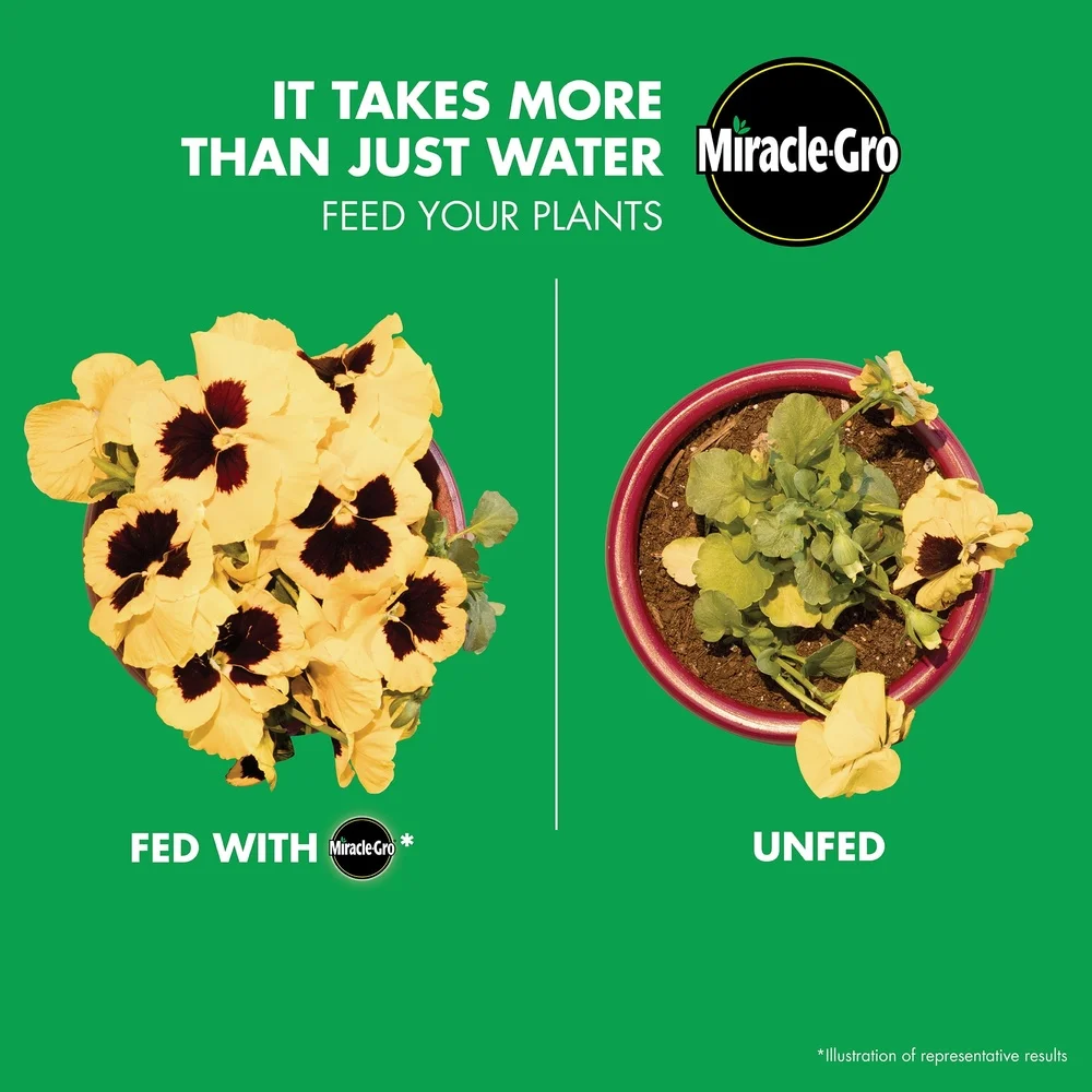 Kit iniziale per alimenti per piante multiuso con cucchiaio dosatore per mangiatoia Facile alimentazione da giardino a terra o contenitori