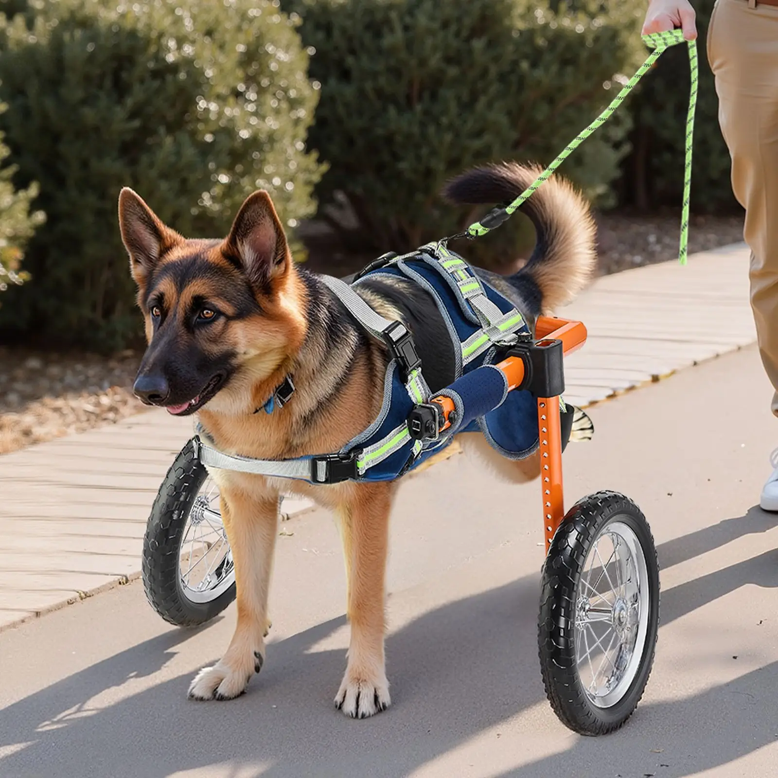 Lightweight 2-Wheel Manual Dog Wheelchair Adjustable Height Width and Length Shock-Absorbent Cart for Back Legs