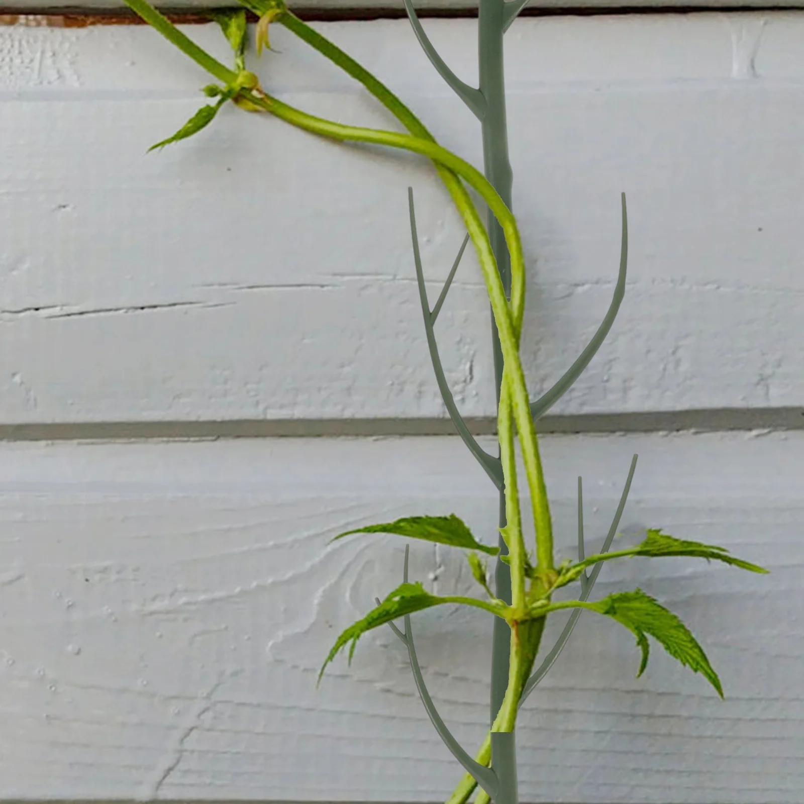

2Pcs Plant Climbing Trellis Branch Shape Support Stake for Indoor Balcony Garden Flower Climber Plant Frame Decorative