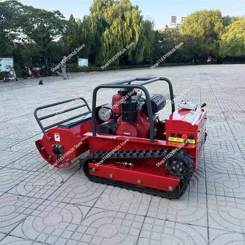 Customized Remote C… - image