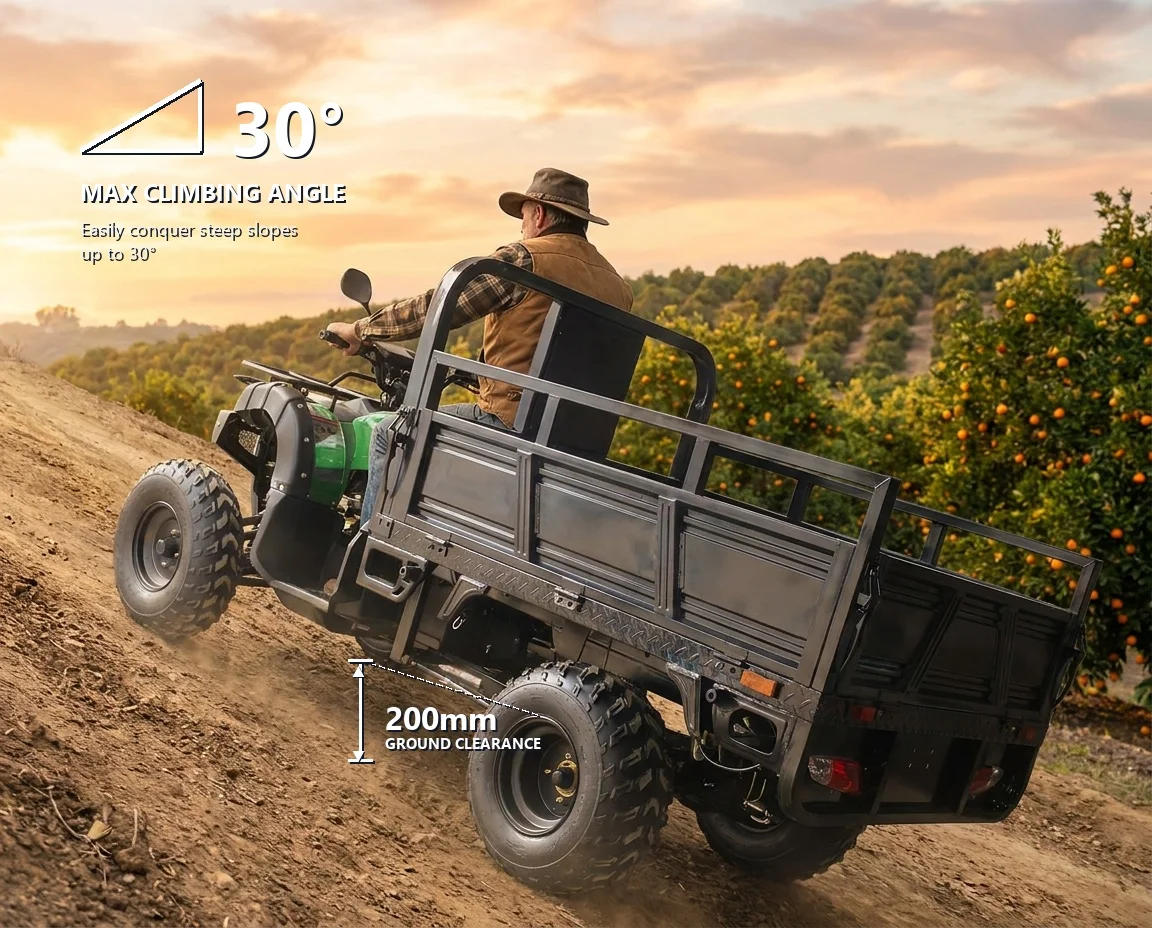 3000W Electric ATV Quad Bike Farm Cargo Utility 4 Wheeler Off Road Dune Beach Buggy For Adults