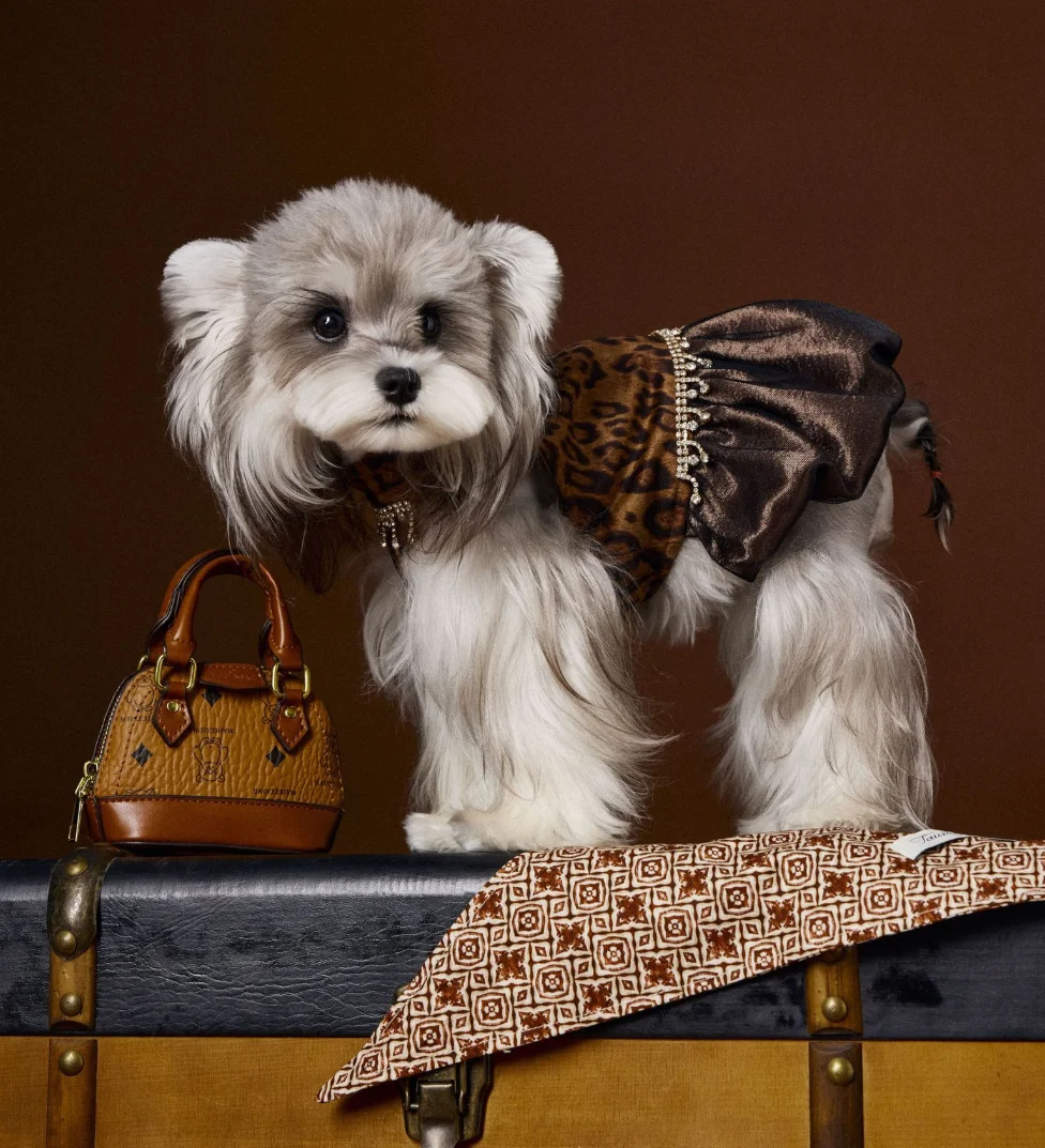 

Fall New Design High-End Custom Luxury Pet Clothing Jewelry Decoration Leopard Print Court Style Dog Dress