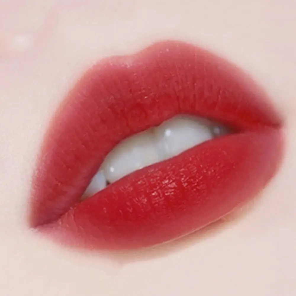 Rossetto vintage intagliato con piume di fenice Tazza antiaderente a lunga durata Nebbia opaca Velluto Smalto per labbra Balsamo per labbra opaco retrò Trucco per labbra