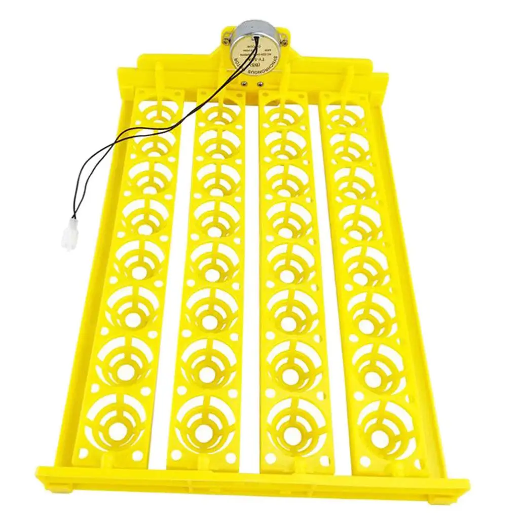 

Egg Incubator Tray Automatic Turning Small 220V er Tray for Bird Eggs
