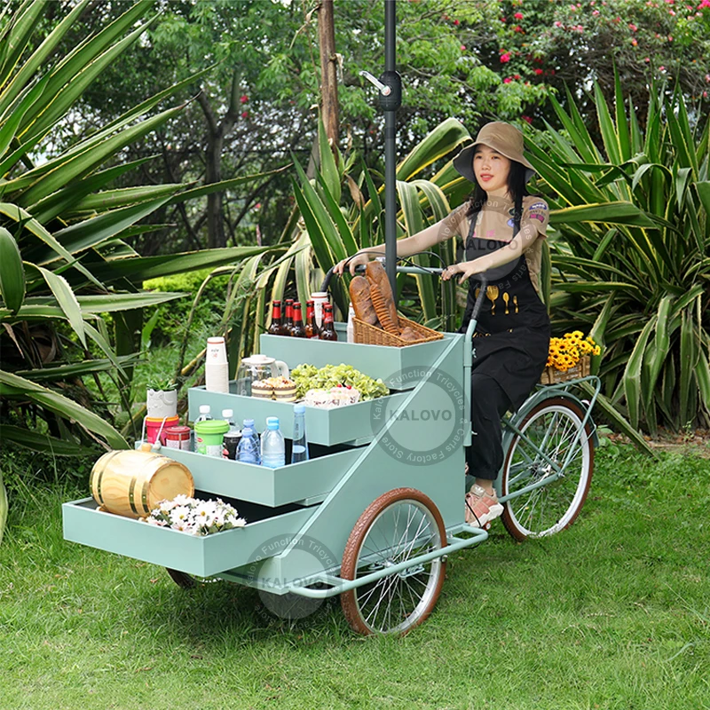 2023 Most Popular Adult Electric Three Wheel Tricycle Food Cart Fruit Truck Vending Bike Rickshaw Vending Bike With Umbrella