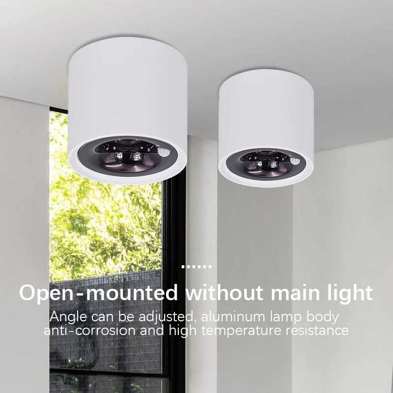 Three Light LED Ceiling Spotlight Nordic Modern Downlight Living Room Kitchen Color Conversion LED Downlight Indoor Lighting