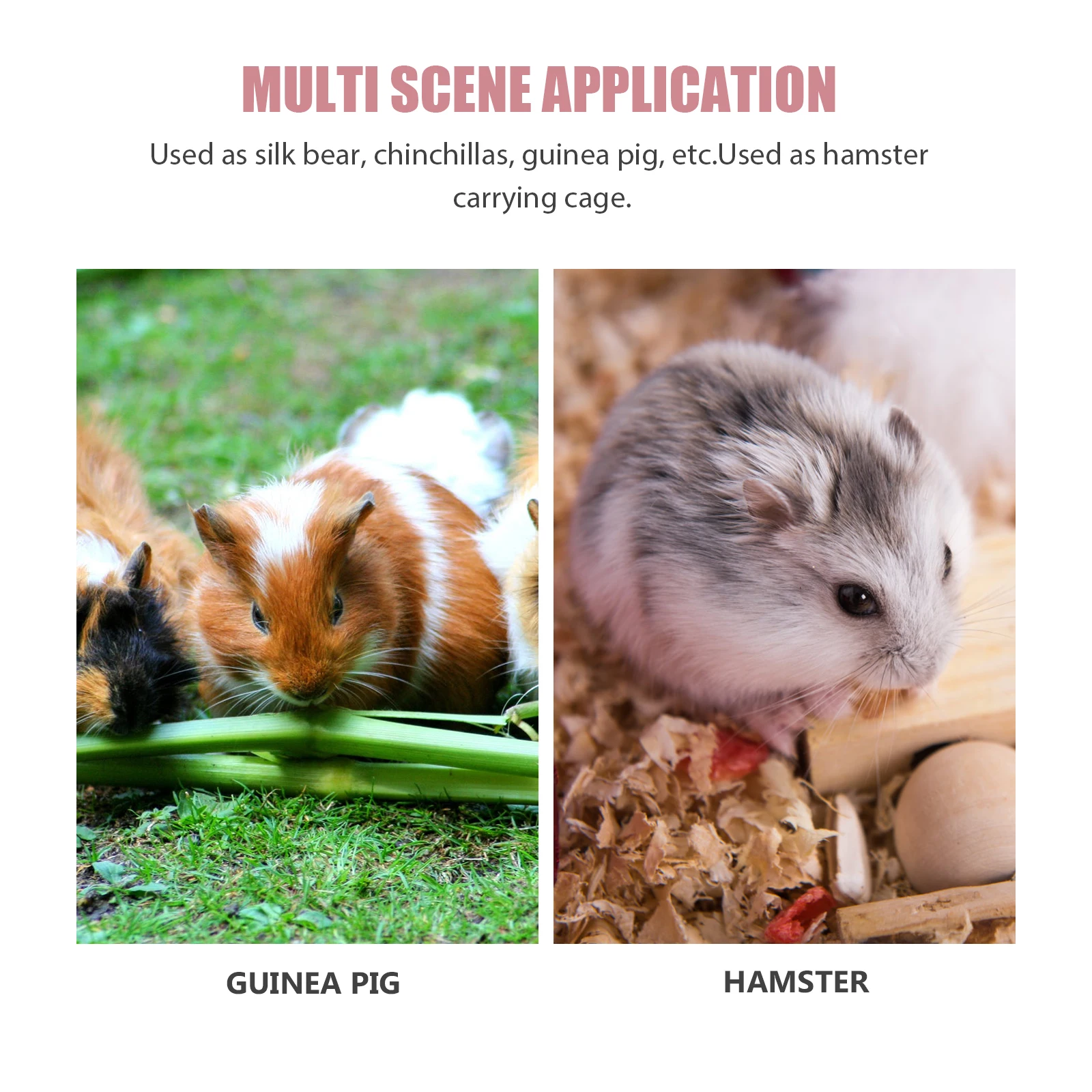 

Hamster Carry Case Portable Small Animals Travel Cage Outdoor Pet Cage Breathable Durable Transparent Design Hamster Carrier