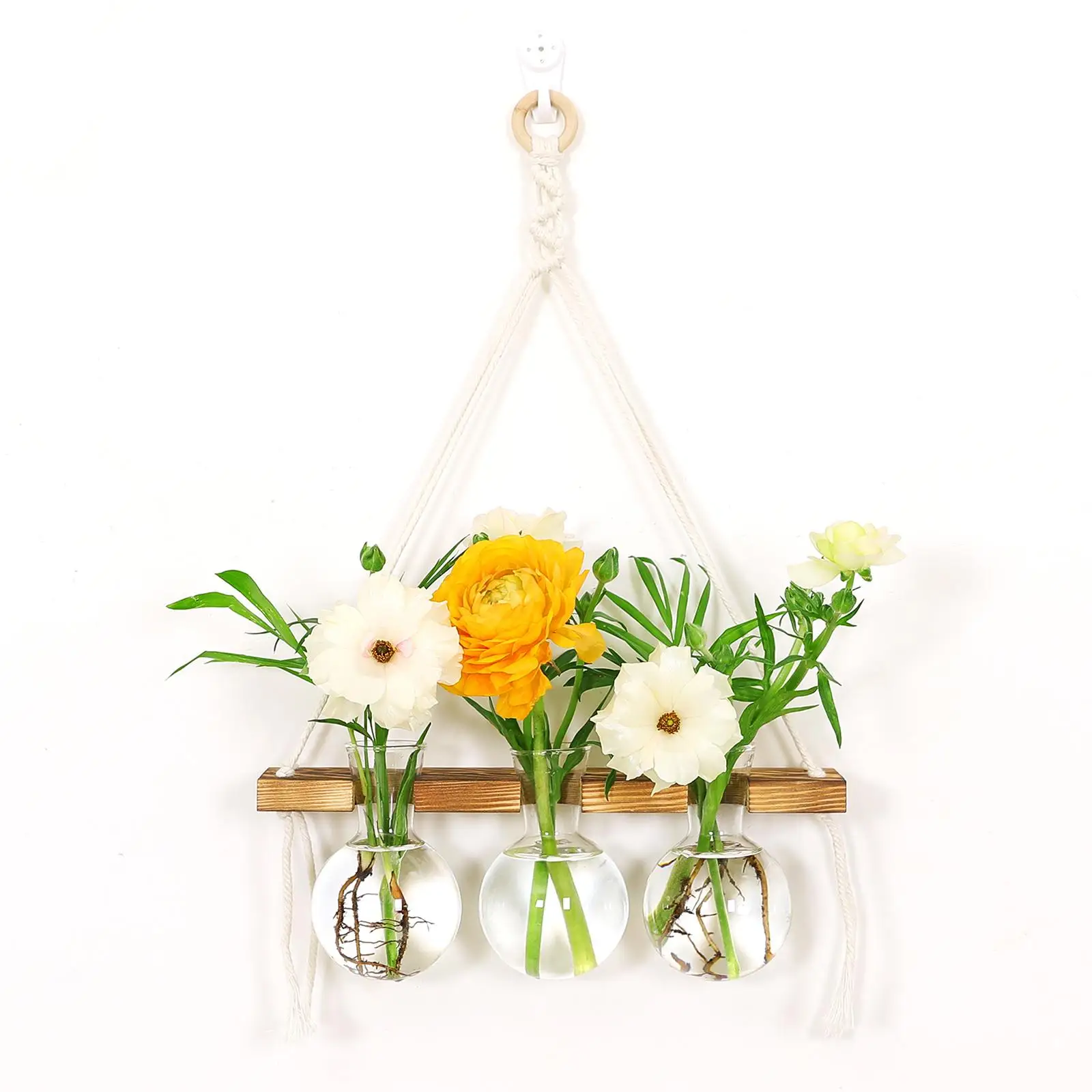 Wall Hanging Planter Propagation Station Modern Wooden Frame Stand for