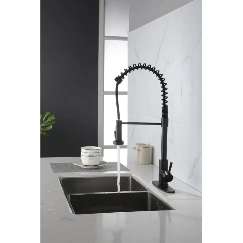 Robinet de cuisine pulvérisateur extractible en acier inoxydable, poignée unique, conception à trou unique pour un usage facile