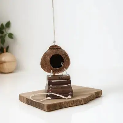 Hermit Crab Habitat…