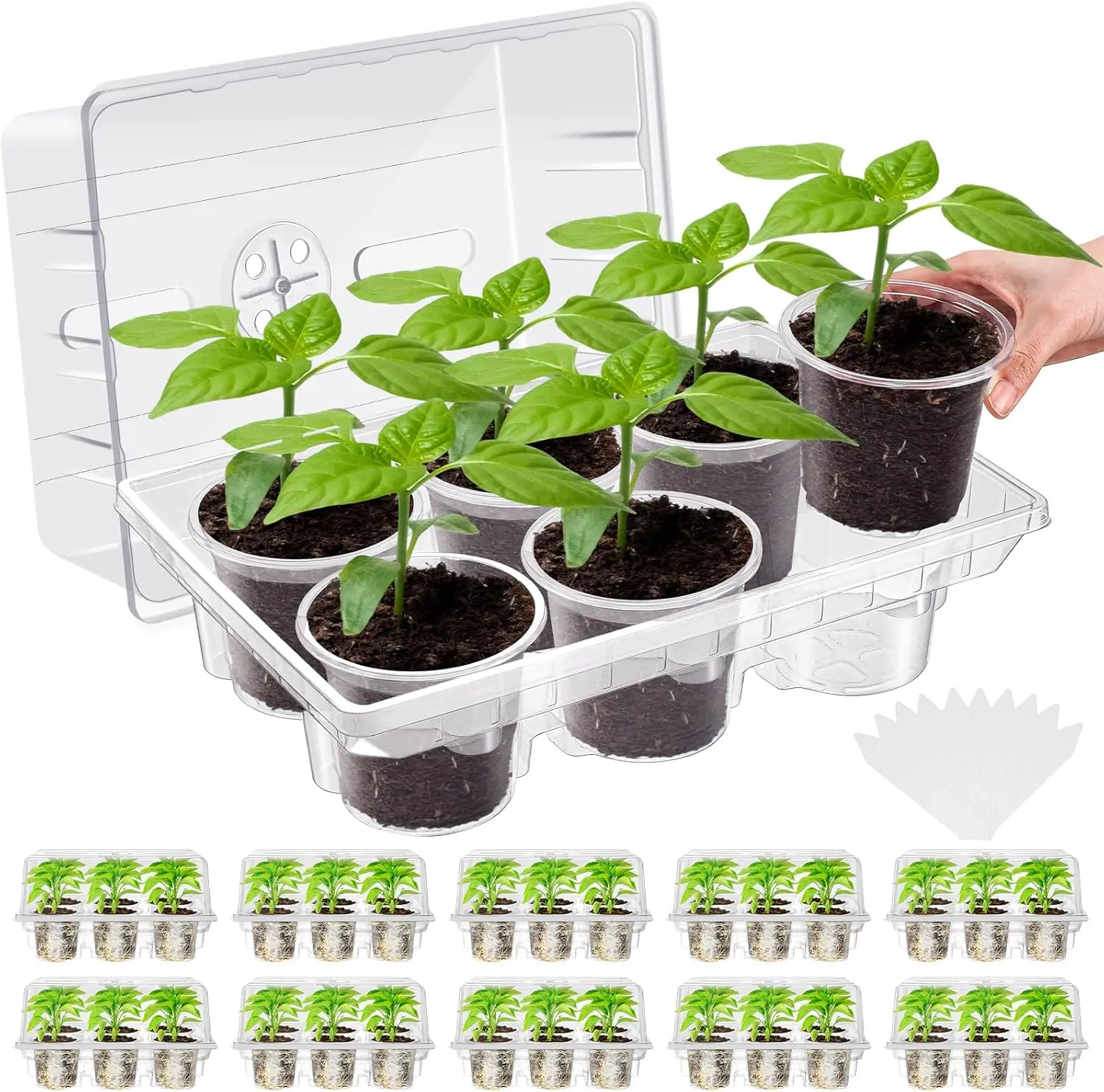 

10 Pack Seed Starter Tray Kit Seedling Starter Trays with 60 Pcs 4 Inch Nursery Pots and Humidity Dome (60 Cells) Mini Gr