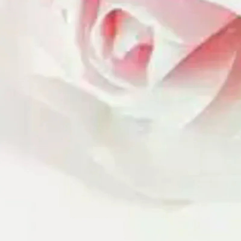 

Velvet Ring Box Double Ring Box With Detachable Lid 2 Slots Octagon Ring Display Holder Case For Engagement Wedding Proposal