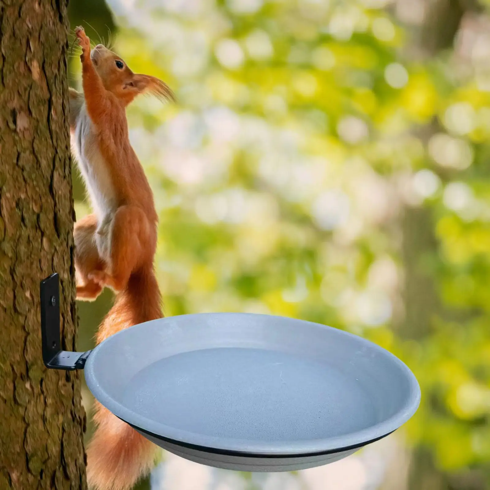 Chipmunk Feeder Bird Feeder Tray Feeding Station Garden Funny Gift Squirrel Feeder Peanut Acorn Loader for Park Balcony Patio