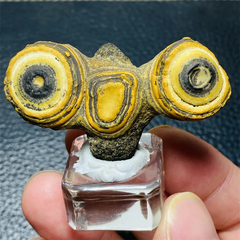 Pierres de chakra énergétiques naturelles œil d'Horus de l'Égypte ancienne avec minéraux de guérison spirituelle, spécimens de roches, décorations pour la maison