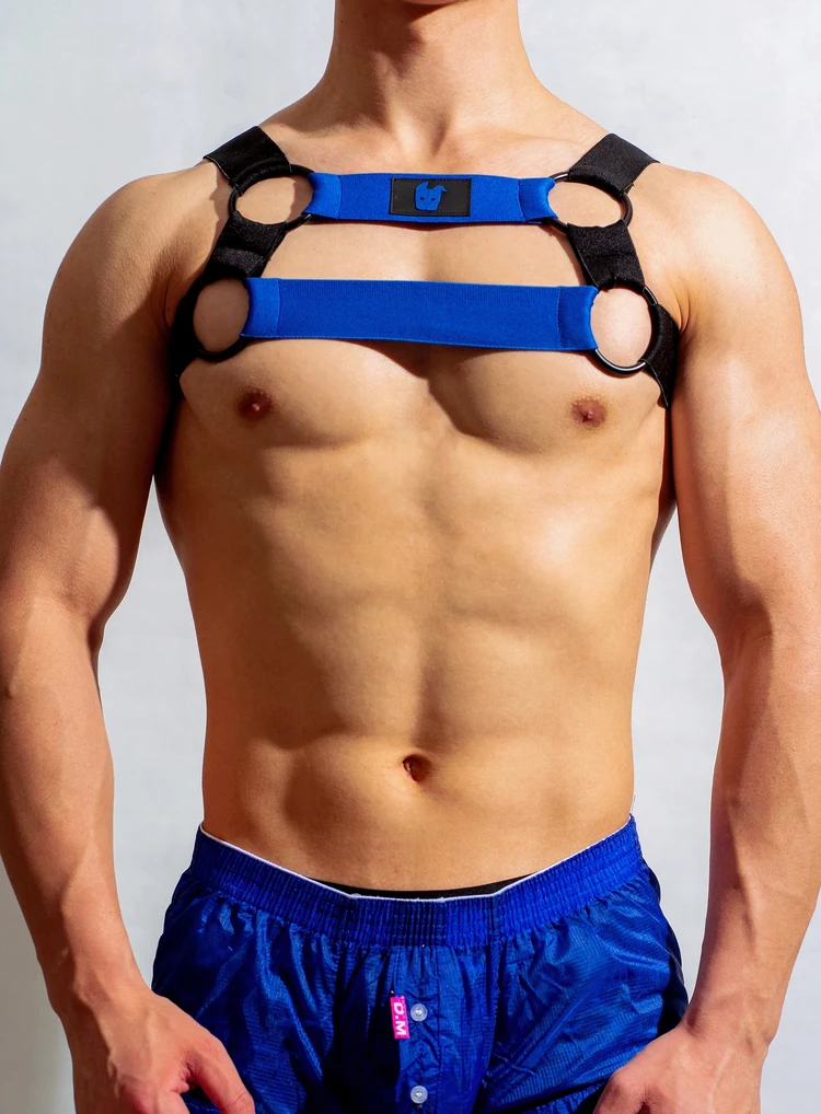 Blue Lingerie Man Sexual Body Chest Harness Belt Strap Punk Rave Costumes Harness Men Gay Clothing  Party