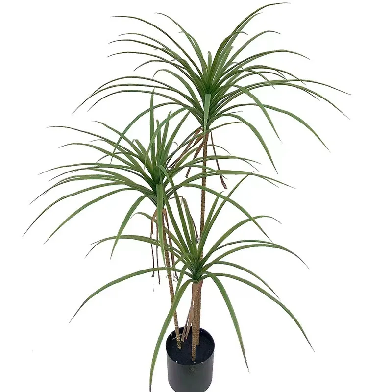 

Simulation green plants, indoor and outdoor garden landscape ornaments, simulation asparagus tree, dragon blood tree