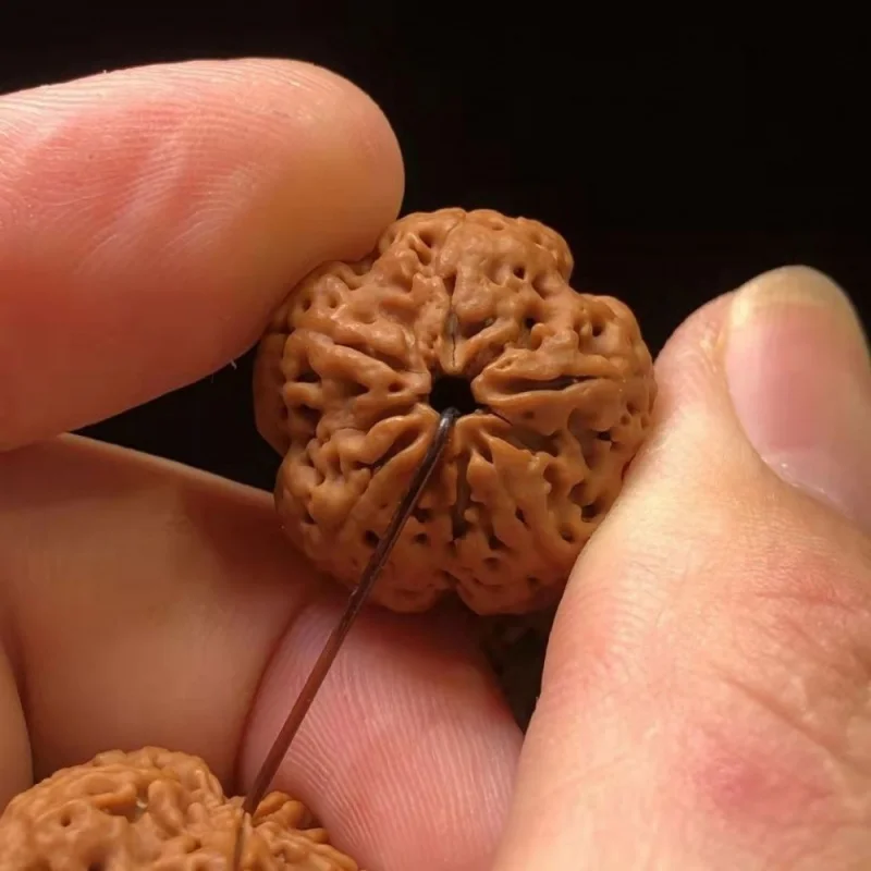 Nepal Five Faces Rudraksha Bracelet