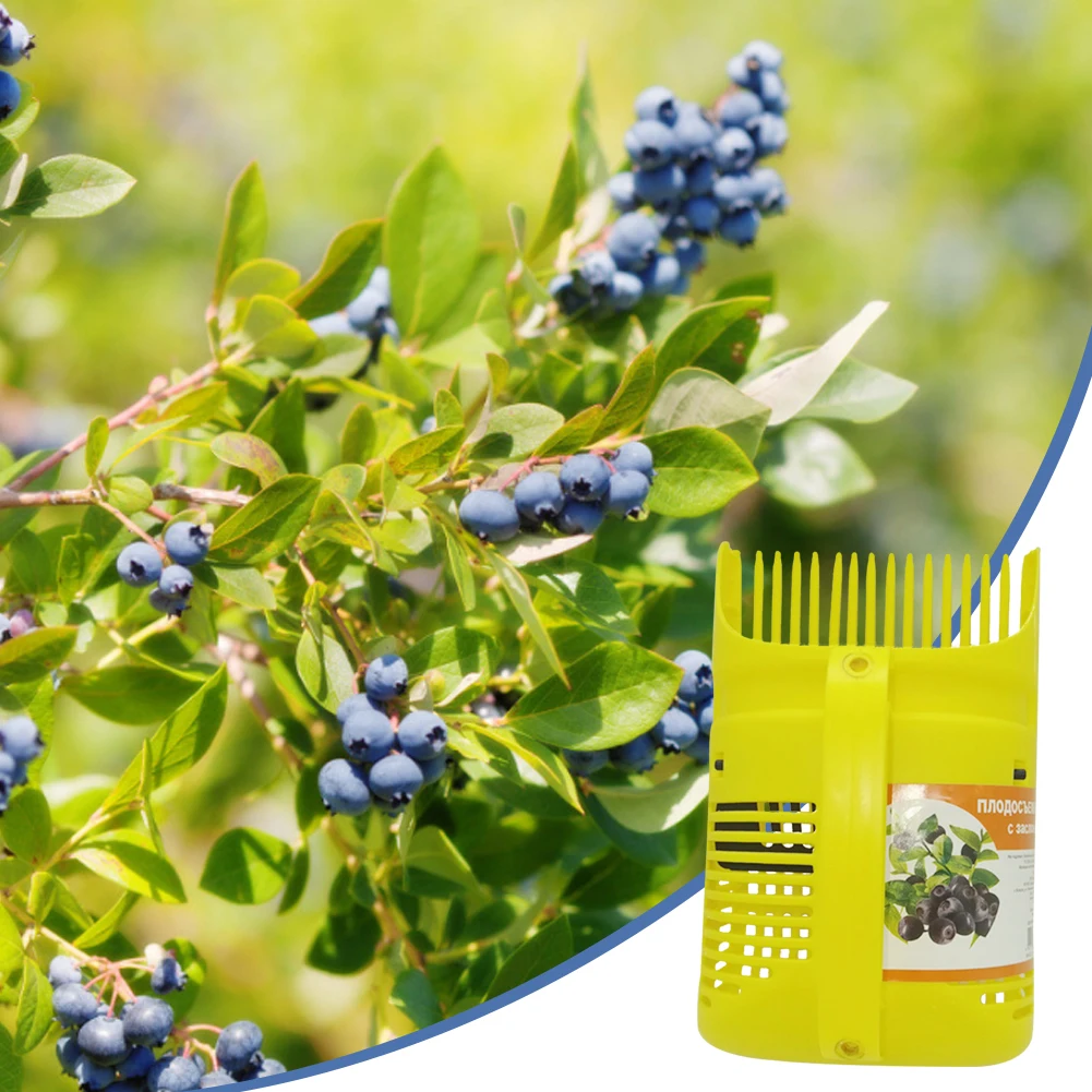 

Fruit Picker Picking Fruit Collecting Scoop Comb Rakes Handle Blueberry Collection Harvester for Blueberries Cranberries