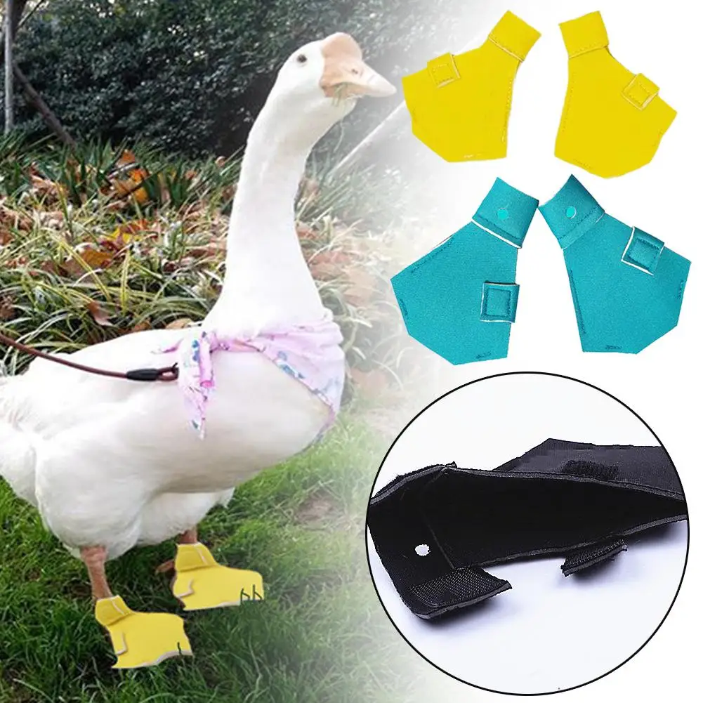 Pet Duck Boots Protect The Soles Creative Goose Kohl Duck Shoes Soles Non-slip Shoes Booties Footwear for Small Duck Goose Duck