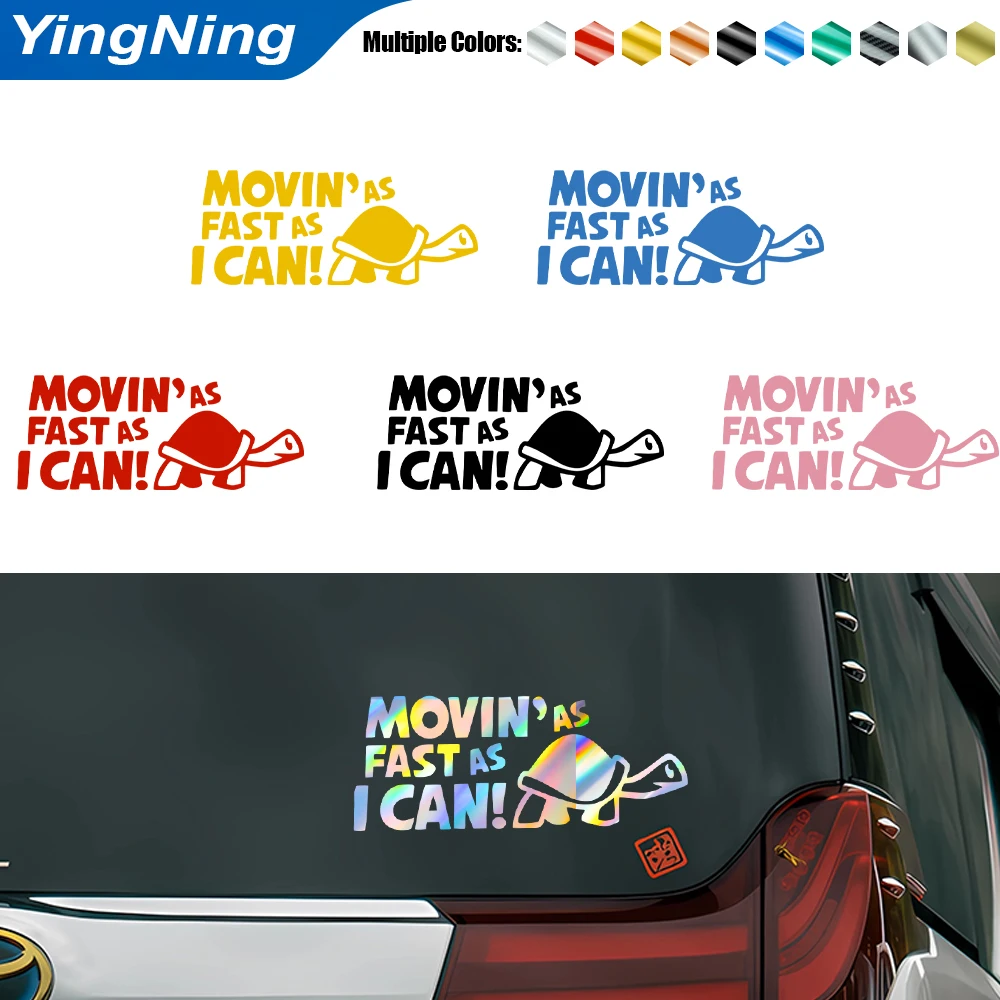 Funny Turtle Car St…