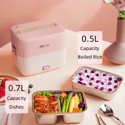 Double-layer Electric Heating Lunch Box Portable Small Bento Heat Food Quickly Steamed Rice Cooker Vegetables Working Meal