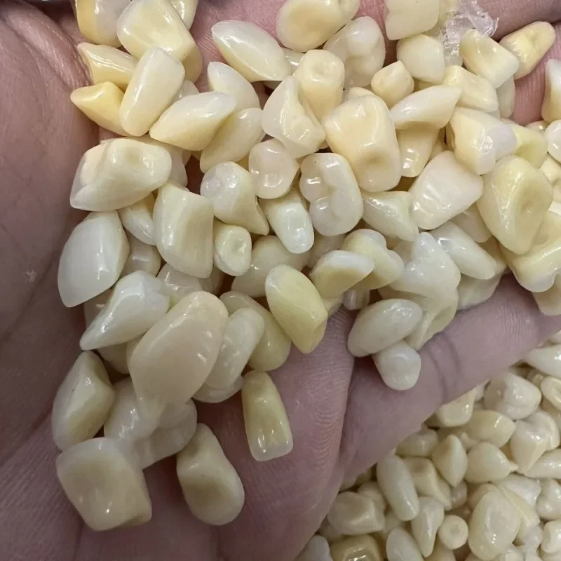 100/400Pcs Mixed Dental Resin Teeth, Anterior Posterior & Molar, Wear-Resistant Lab Practice Supplies for Dentures