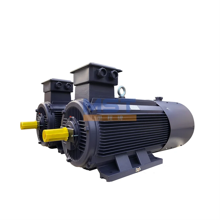 Hot Sale 500hp 380v 3 Phase Electric Motor for Variable Frequency