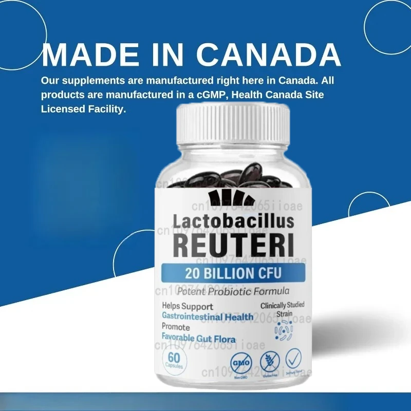 Lactobacillus probiotics 20 billion CFU L Reuteri probiotics intestinal health support -60 capsules - Image 2