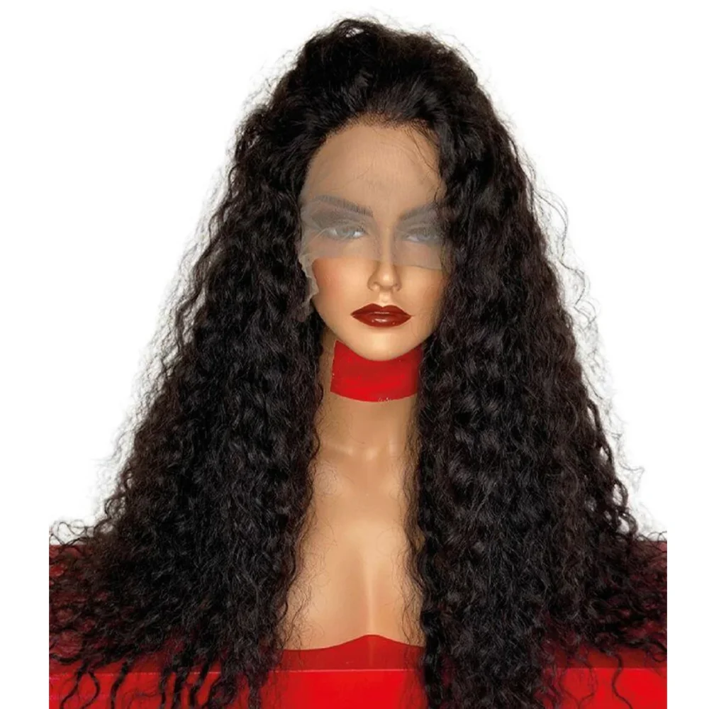 Long Pre plucked 30inch Kinky Curly Human Hair Natural Black 13x6 HD Lace Front Wigs Brazilian Free Part with Baby Hair Glueless view 3