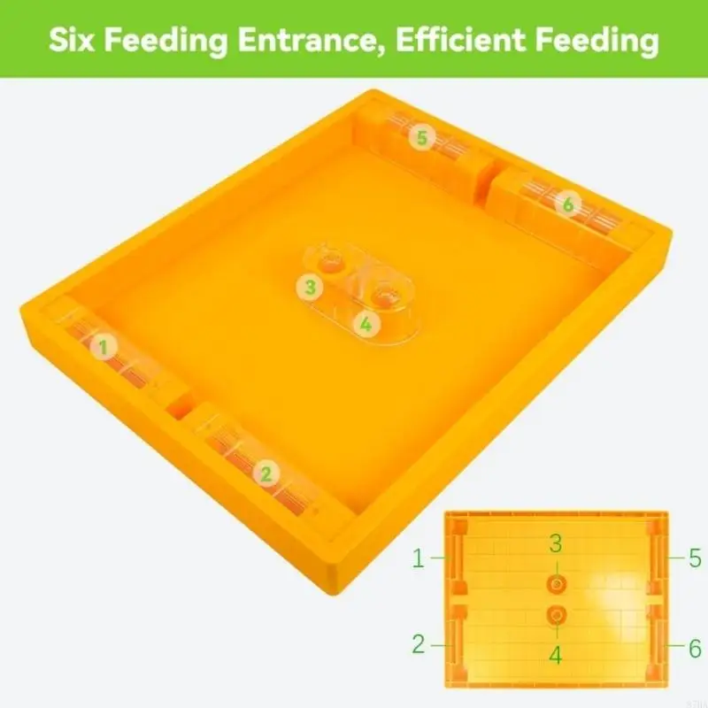 

Круглогодичная поилка для медоносных пчел, 6 станций кормления, установленная сверху, для одновременного ухода за колонией, 87HA