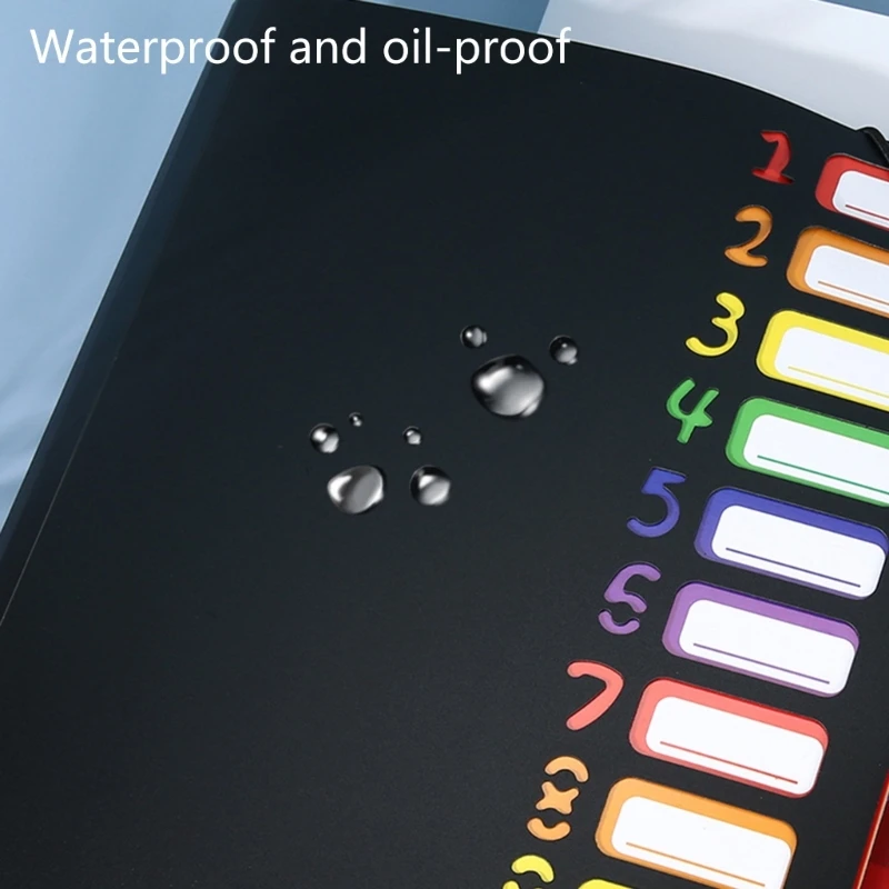 Organ Expanding File Folder 12 Compartments Waterproof Organiser 2Pcs F19E