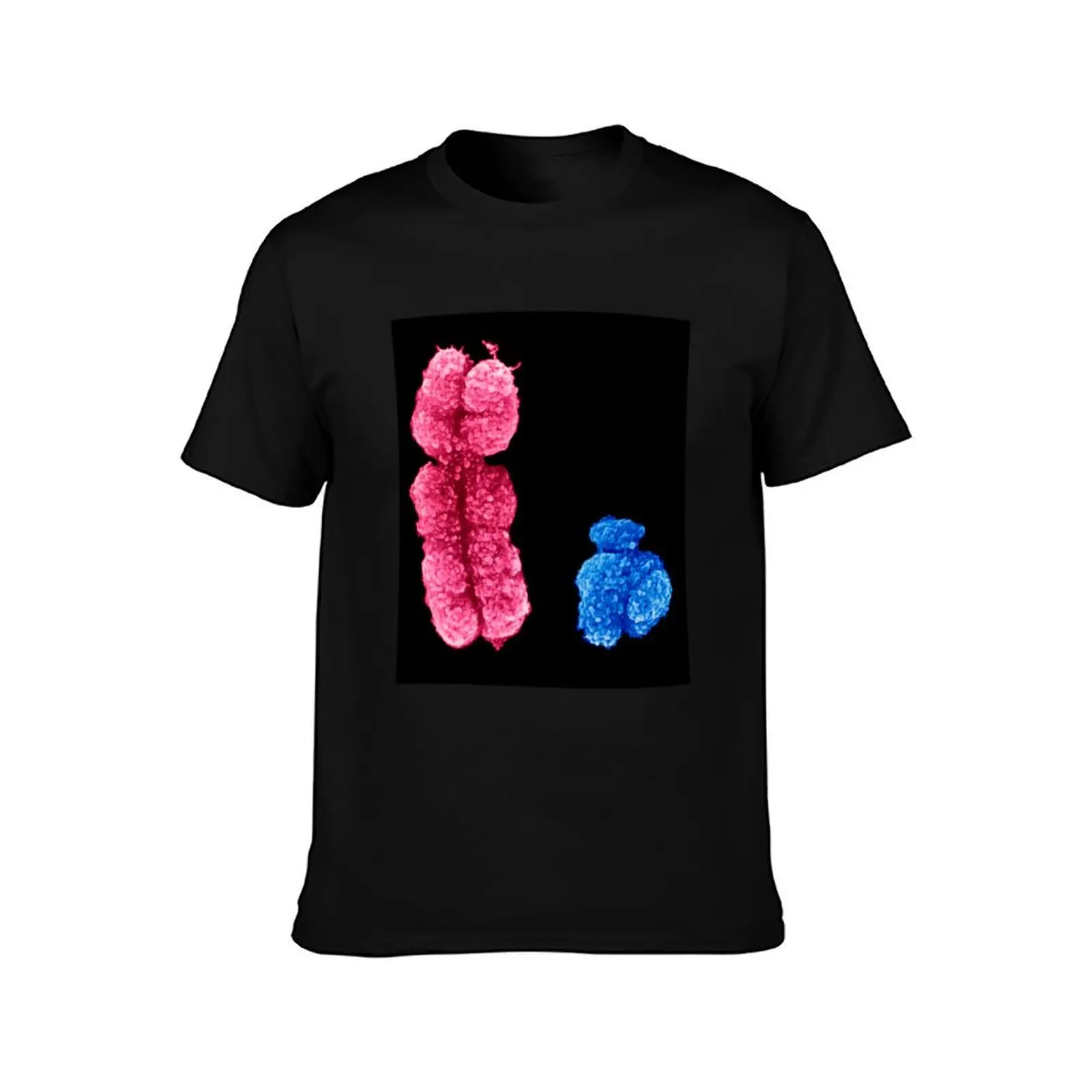 X and Y chromosomes (C003/0729) T-Shirt Lightweight Hiking T-Shirt