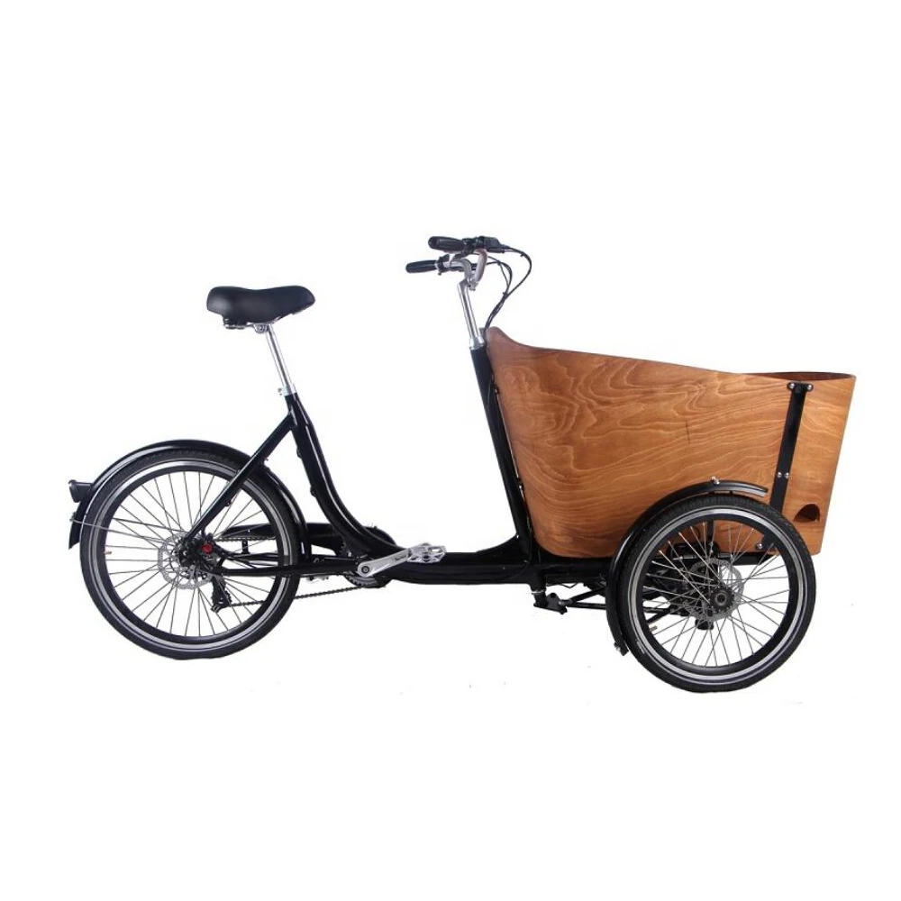 

250W Electric Adult Tricycle Cargo Bike 6/7 Gear Speeds Peadel 3 Wheels Bicycle for Carrying Children Passenger