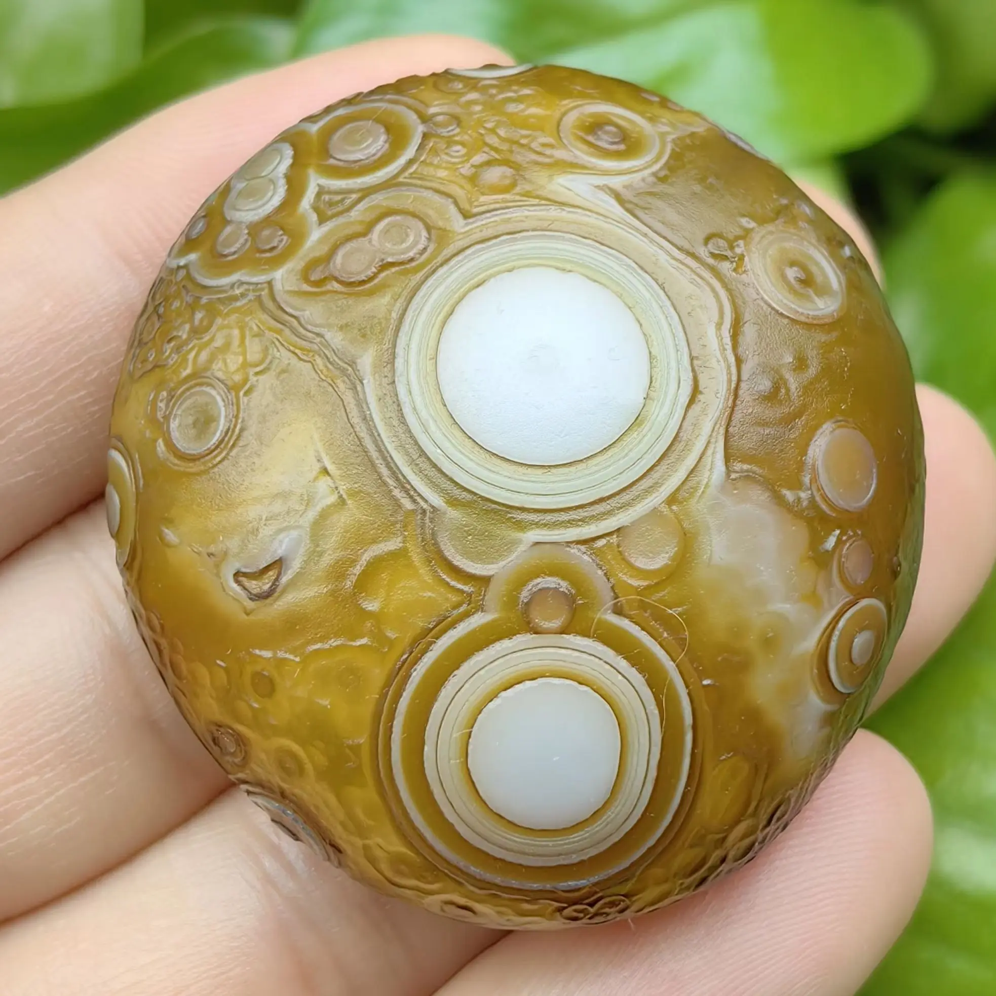 Natural Palm Stones…