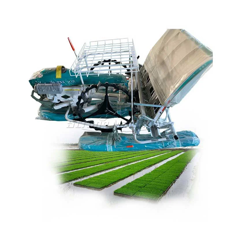 4 row walk-behind rice transplanter and 6 row hand push manual rice planter machine of Rice Nursery seedling planting