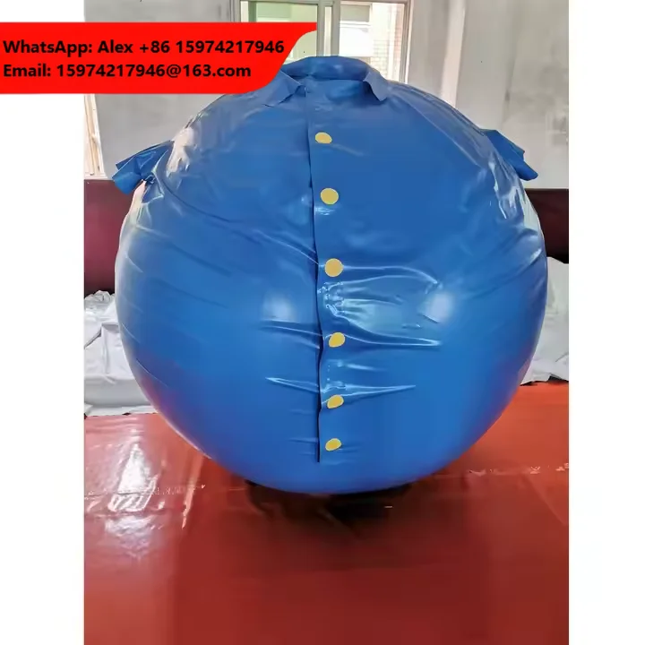Beile High Quality Customizable Blueberry Ball Suit Durable PVC Inflatable For Adults PVC Suit For Outdoor Parties