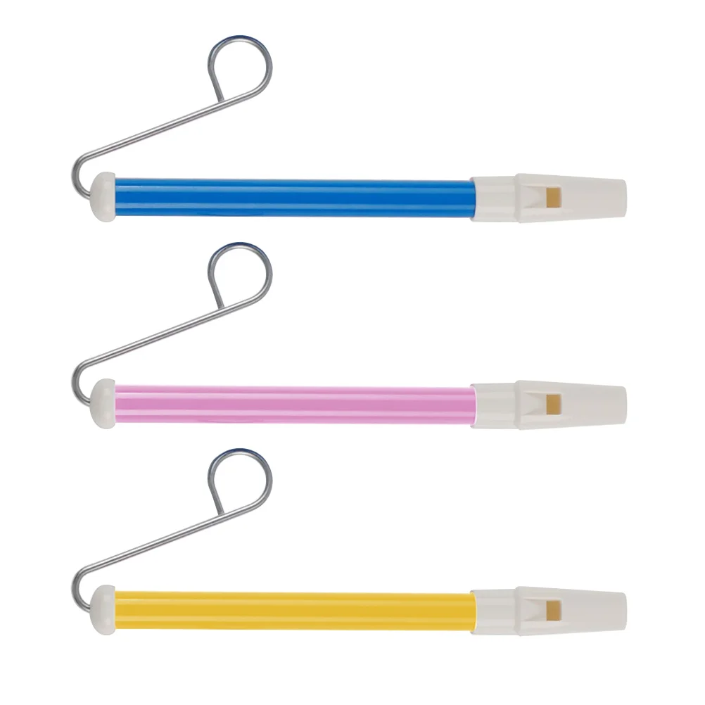 3-teiliges Flötenspielzeug für Kleinkinder, Pfeife, Kinder-Musikinstrument, Schiebepfeifen, Großpackung