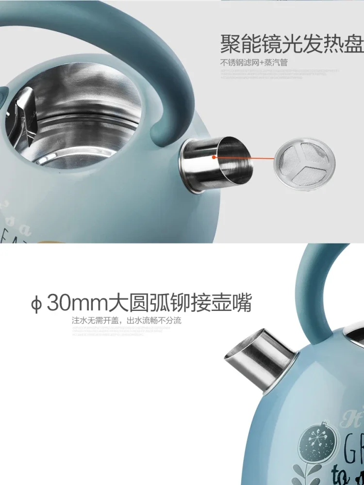 غلاية كهربائية عتيقة لغلي الماء ، لوحة ملونة مقطوعة تلقائية ، درجة غذائية ، فولاذ مقاوم للصدأ ، ، من من من V