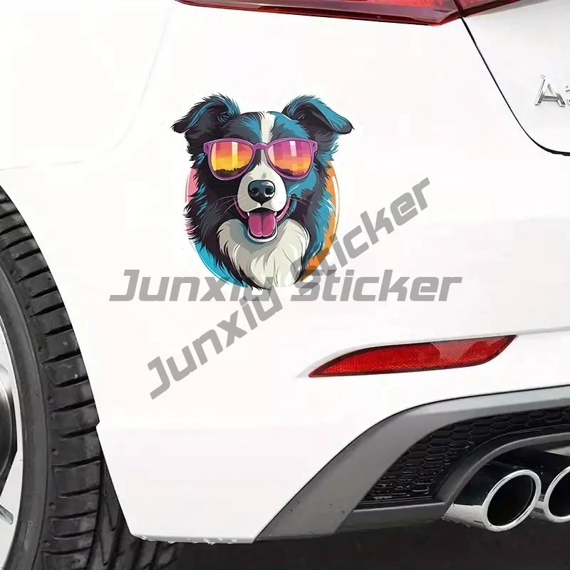 Cool Border Collie Dog Creative Vinyl Waterproof Sticker Decal for Car, Laptop, Wall Window, Bumper Sticker