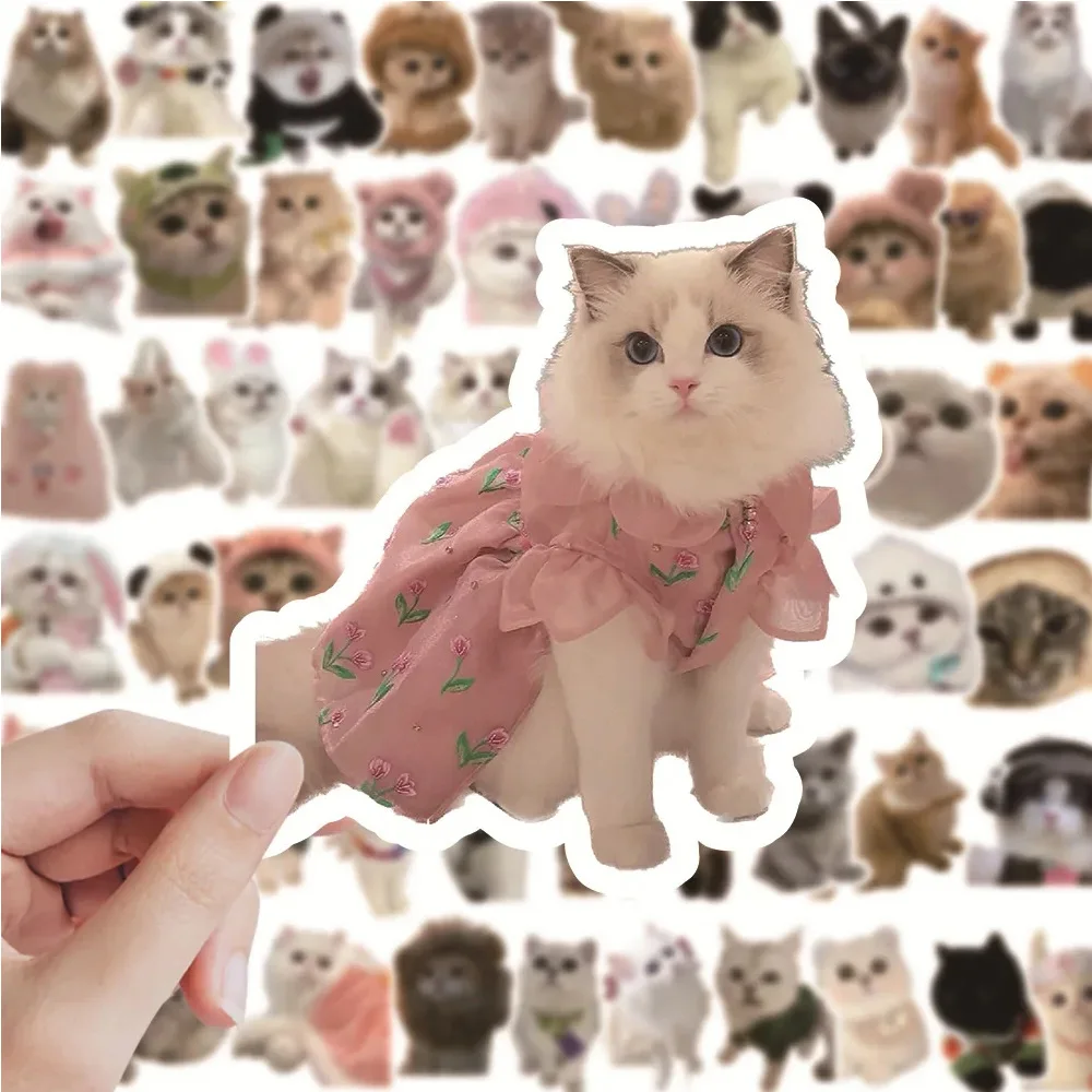 10/30/50pcs Funny Cat Kitty MEME Cartoon Stickers Cute Decals Toys Graffiti Stationery Laptop Car Kid Kawaii Animal Joke Sticker