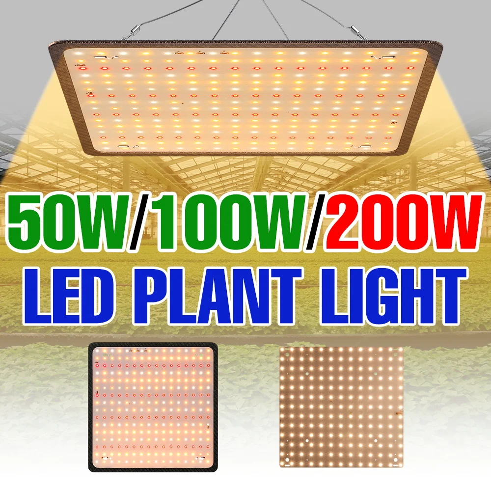 

200W LED Quantum Board Grow Light Full Spectrum Plant Lamp Greenhouse Hydroponic Growth Box Vegs Flower Cultivation Lighting
